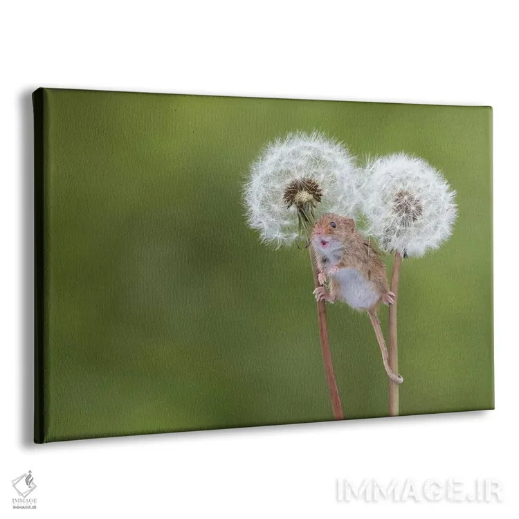 تابلو دست آزاد اثر باور میسون - نمای پرسپکتیو محصول