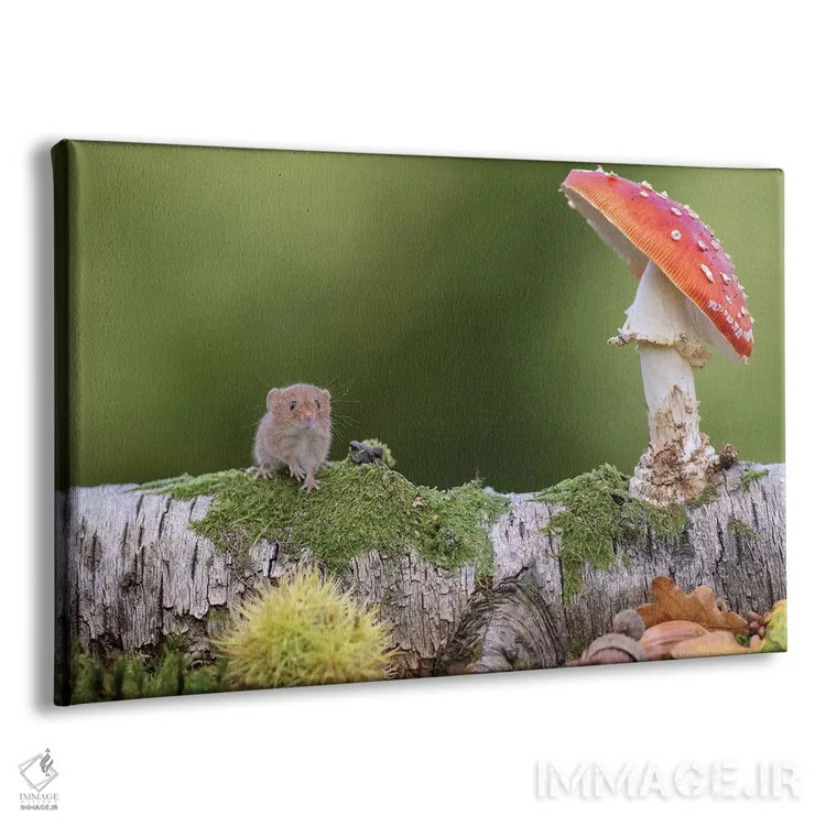 تابلو سلام پاییز اثر باور میسون - نمای پرسپکتیو محصول