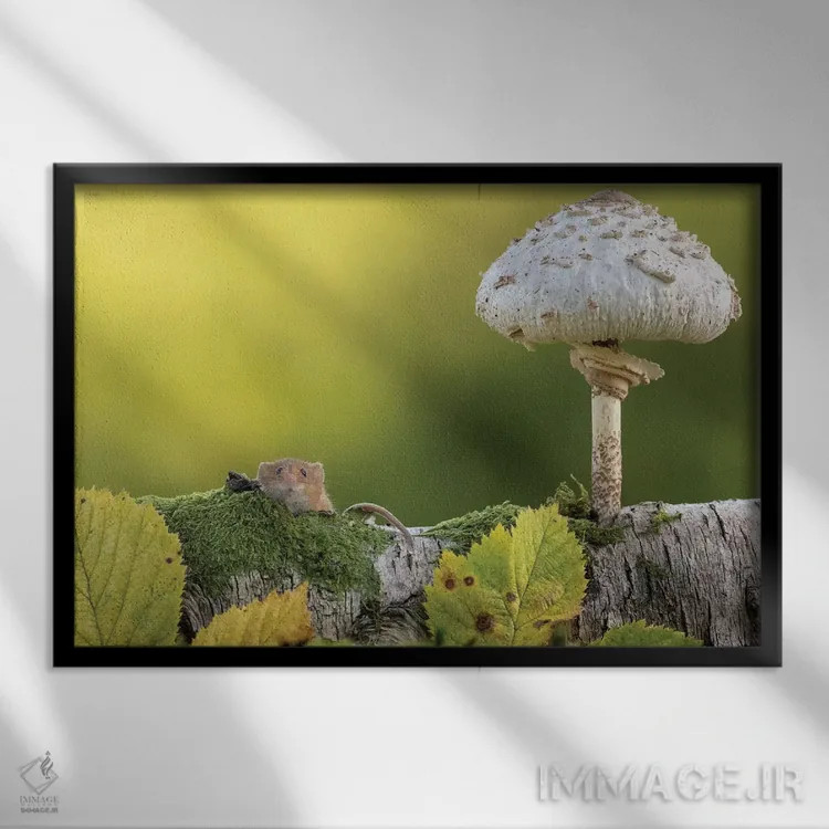 تابلو سلام پاییز اثر باور میسون - نمای قابدار مشکی