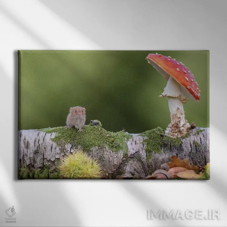 تابلو سلام پاییز اثر باور میسون - نمای روبهرو روی دیوار