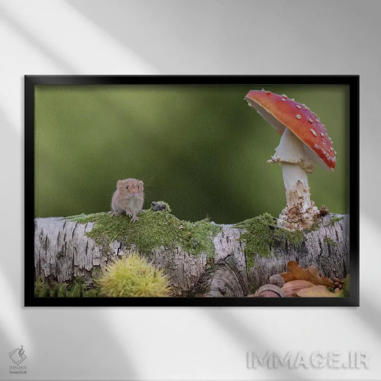 تابلو سلام پاییز اثر باور میسون - نمای قابدار مشکی