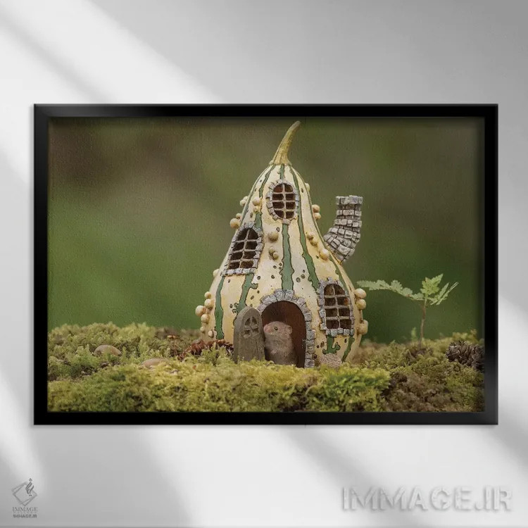 تابلو صبح بهخیر دنیا اثر باور میسون - نمای قابدار مشکی