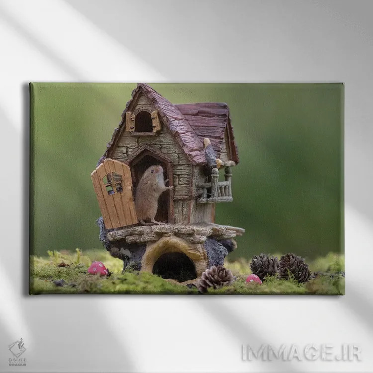 تابلو موش مغرور به خانهاش اثر باور میسون - نمای روبهرو روی دیوار