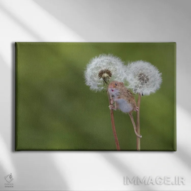 تابلو دست آزاد اثر باور میسون - نمای روبهرو روی دیوار