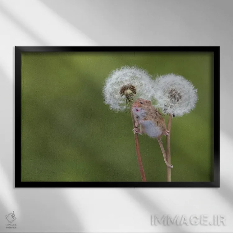 تابلو دست آزاد اثر باور میسون - نمای قابدار مشکی