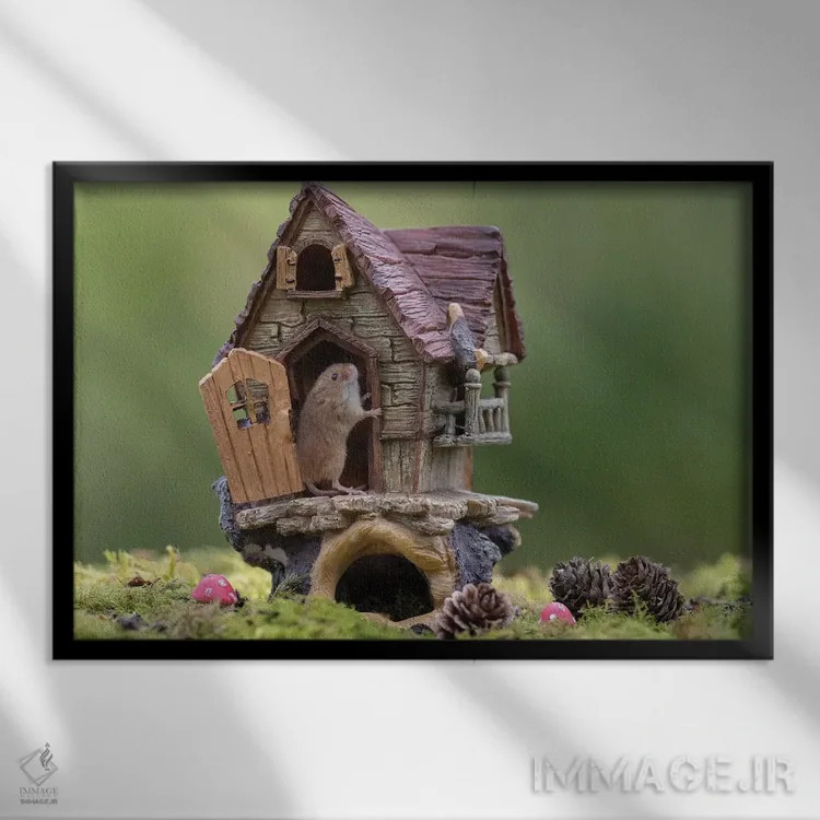 تابلو موش مغرور به خانهاش اثر باور میسون - نمای قابدار مشکی