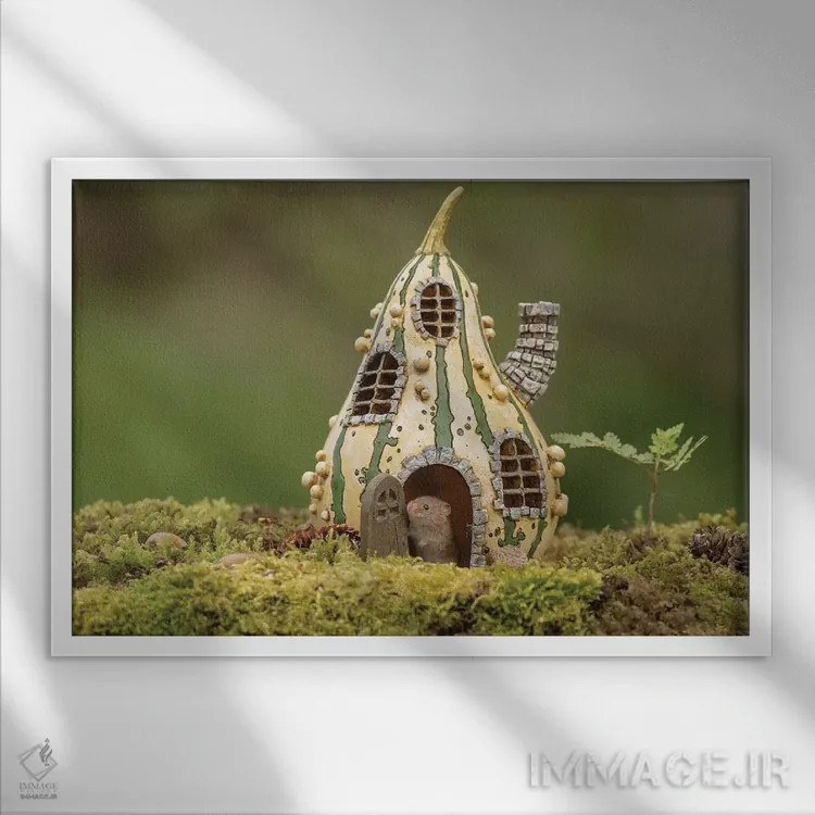 تابلو صبح بهخیر دنیا اثر باور میسون - نمای قابدار سفید