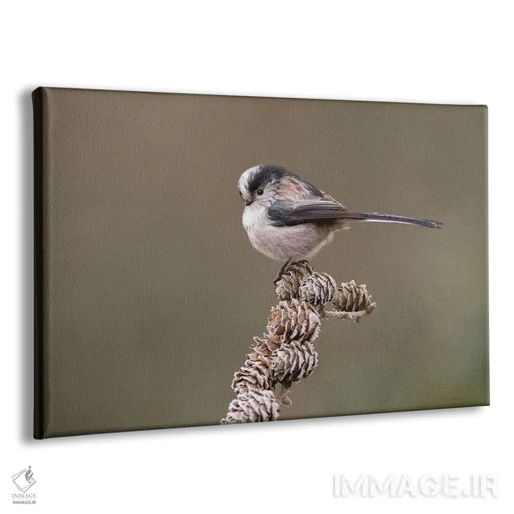 تابلو دمدراز روی مخروط لاریکس اثر باور میسون - نمای پرسپکتیو محصول