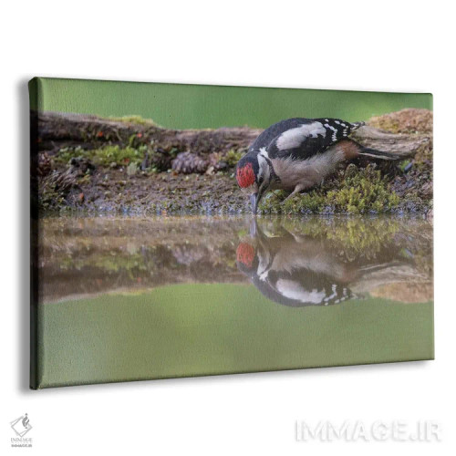 تابلو آینه آینه اثر باور میسون - نمای پرسپکتیو محصول