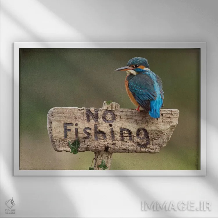 تابلو ماهیخورک (بدون ماهیگیری) اثر باور میسون - نمای قابدار سفید