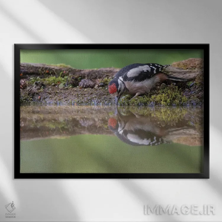 تابلو آینه آینه اثر باور میسون - نمای قابدار مشکی