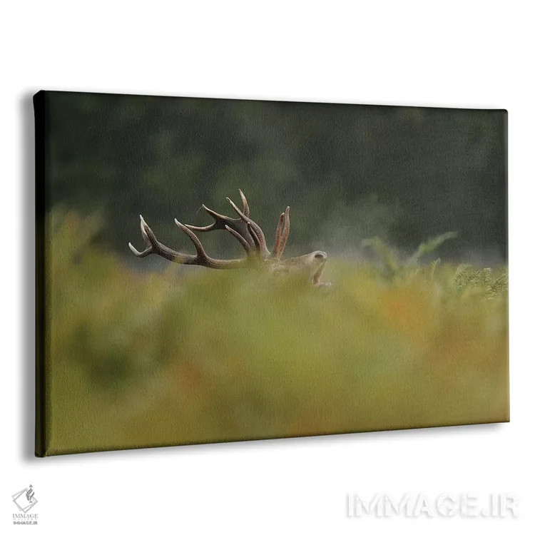 تابلو حالا مرا میبینی اثر باور میسون - نمای پرسپکتیو محصول