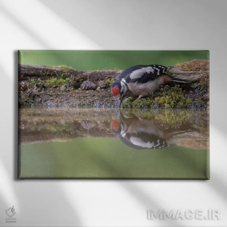 تابلو آینه آینه اثر باور میسون - نمای روبهرو روی دیوار