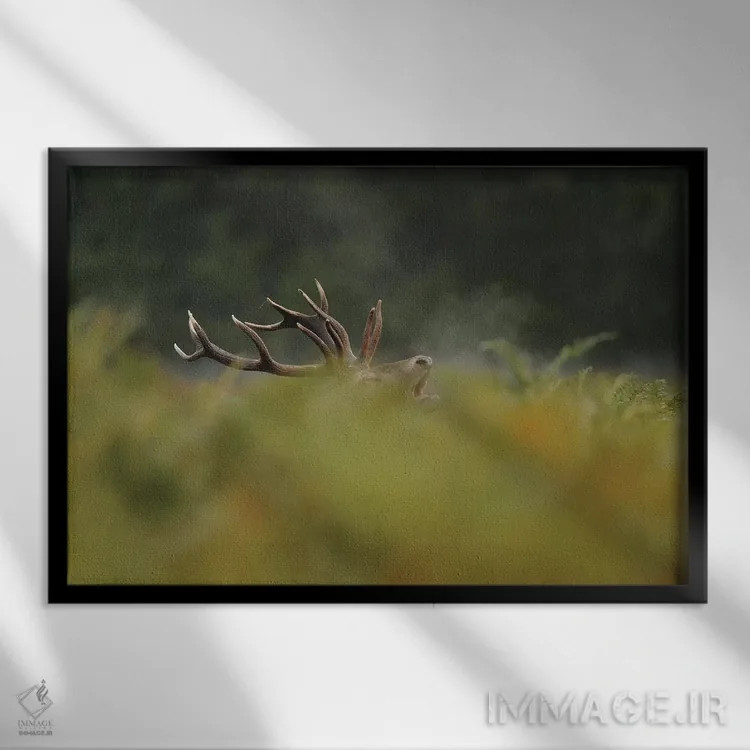 تابلو حالا مرا میبینی اثر باور میسون - نمای قابدار مشکی