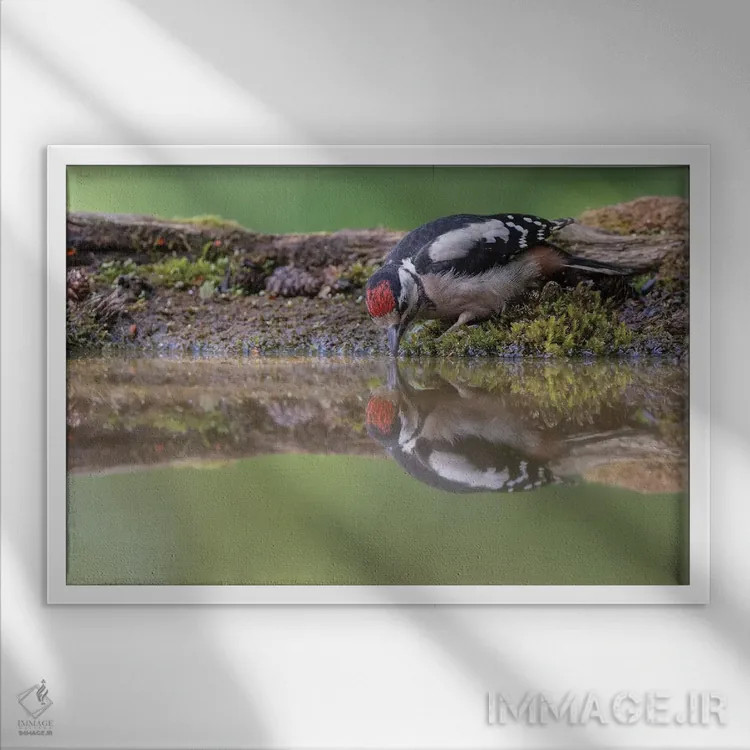 تابلو آینه آینه اثر باور میسون - نمای قابدار سفید