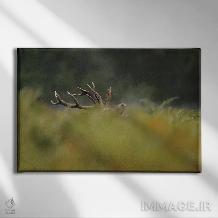 تابلو حالا مرا میبینی اثر باور میسون - نمای روبهرو روی دیوار