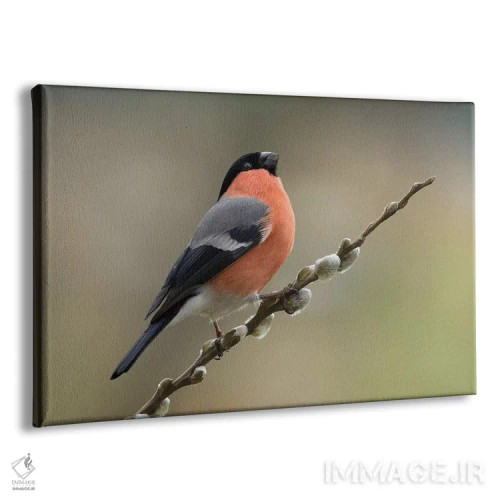 تابلو آدم بسیار شیکپوش اثر باور میسون - نمای پرسپکتیو محصول