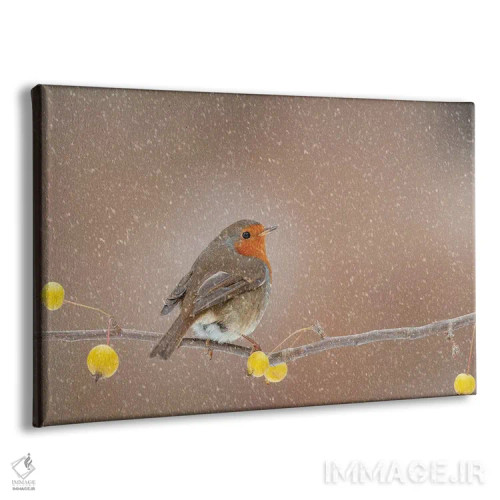 تابلو سینهسرخ در برف اثر باور میسون - نمای پرسپکتیو محصول