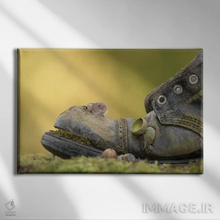 تابلو خم شدن و سرک کشیدن اثر باور میسون - نمای روبهرو روی دیوار