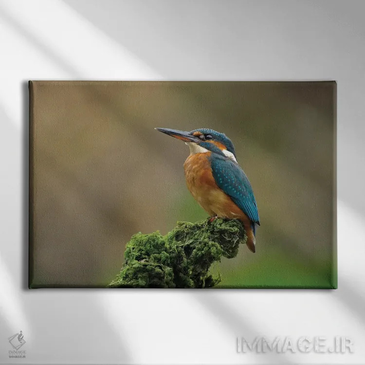 تابلو ماهیخورک مغرور اثر باور میسون - نمای روبهرو روی دیوار