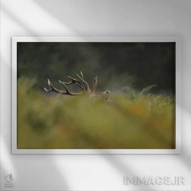 تابلو حالا مرا میبینی اثر باور میسون - نمای قابدار سفید