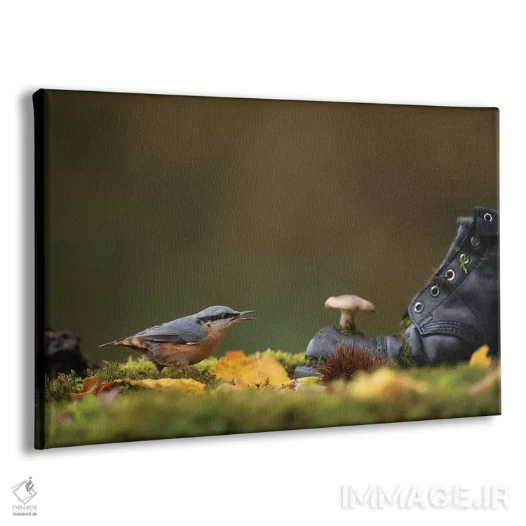 تابلو کمرکبود روی زمین جنگل اثر باور میسون - نمای پرسپکتیو محصول