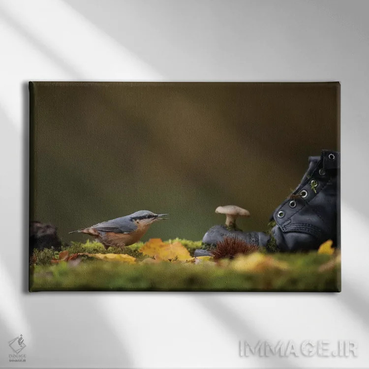 تابلو کمرکبود روی زمین جنگل اثر باور میسون - نمای روبهرو روی دیوار