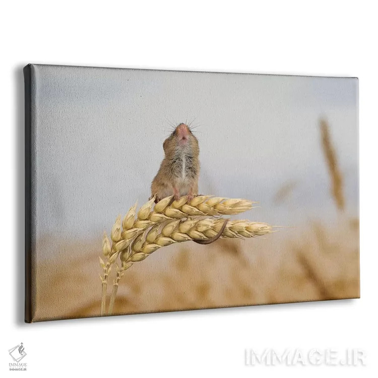 تابلو بروم بالاتر؟ اثر باور میسون - نمای پرسپکتیو محصول