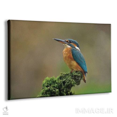 تابلو ماهیخورک مغرور اثر باور میسون - نمای پرسپکتیو محصول