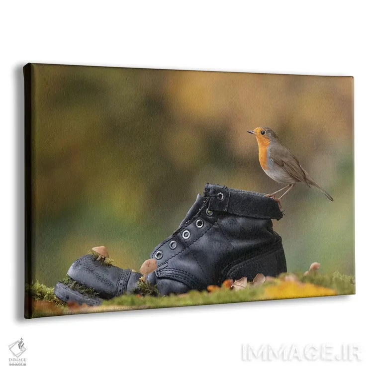 تابلو سینهسرخ پاییزی روی چکمهٔ کهنه اثر باور میسون - نمای پرسپکتیو محصول