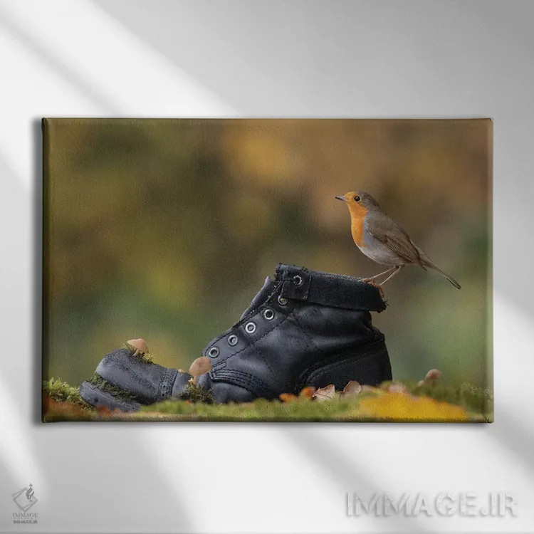 تابلو سینهسرخ پاییزی روی چکمهٔ کهنه اثر باور میسون - نمای روبهرو روی دیوار