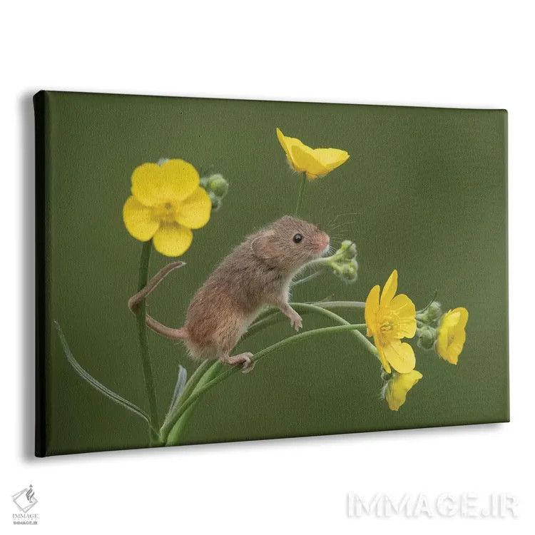 تابلو بوی شیرین موفقیت اثر باور میسون - نمای پرسپکتیو محصول