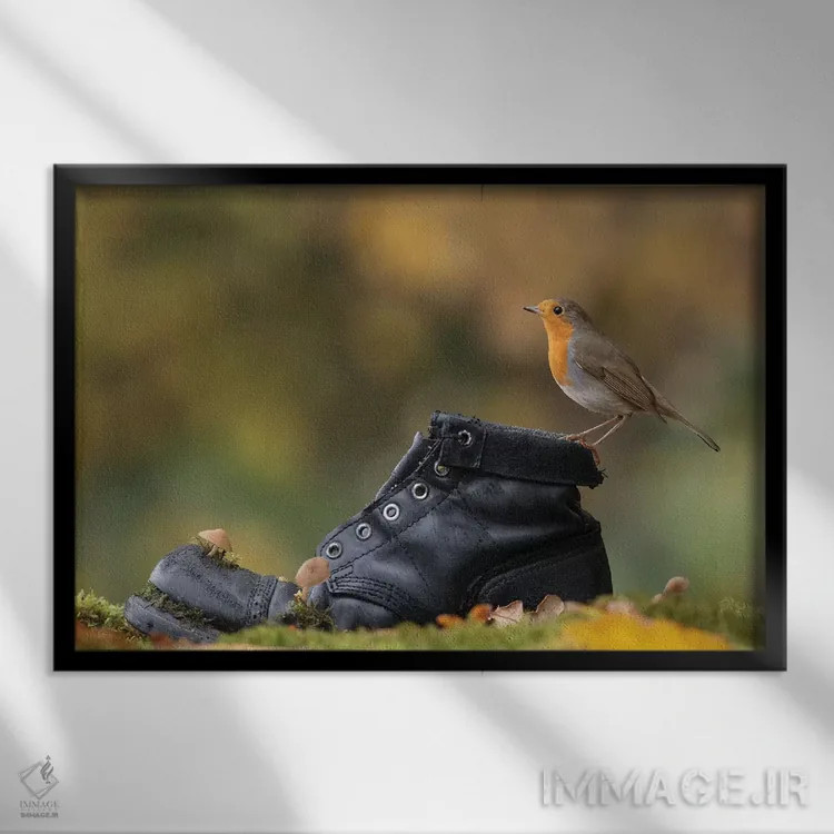 تابلو سینهسرخ پاییزی روی چکمهٔ کهنه اثر باور میسون - نمای قابدار مشکی