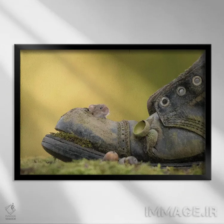 تابلو خم شدن و سرک کشیدن اثر باور میسون - نمای قابدار مشکی