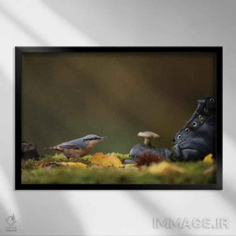 تابلو کمرکبود روی زمین جنگل اثر باور میسون - نمای قابدار مشکی