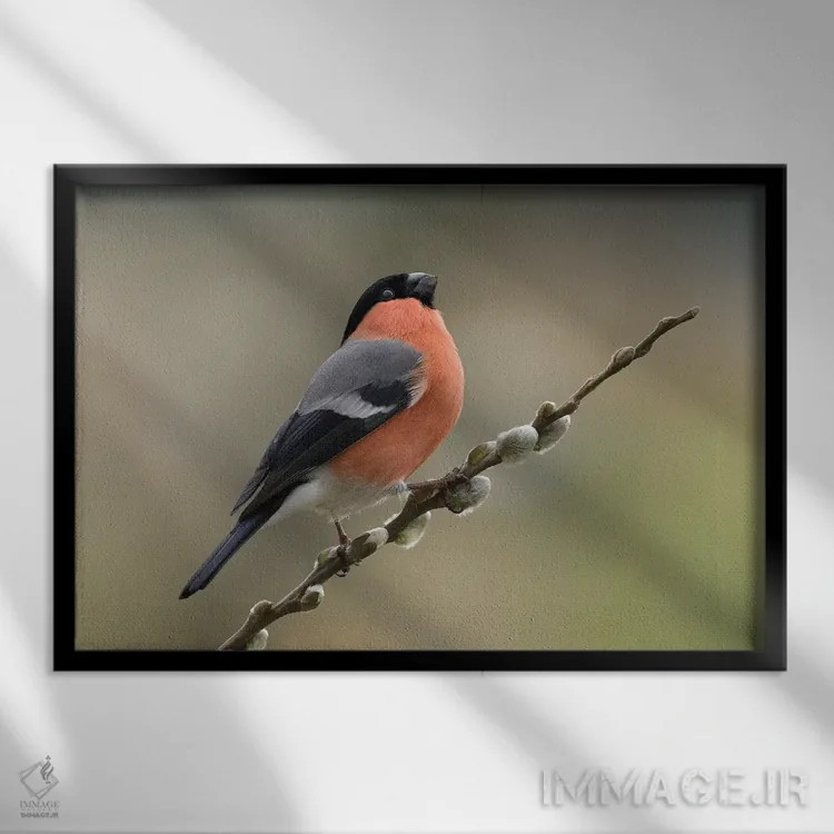 تابلو آدم بسیار شیکپوش اثر باور میسون - نمای قابدار مشکی