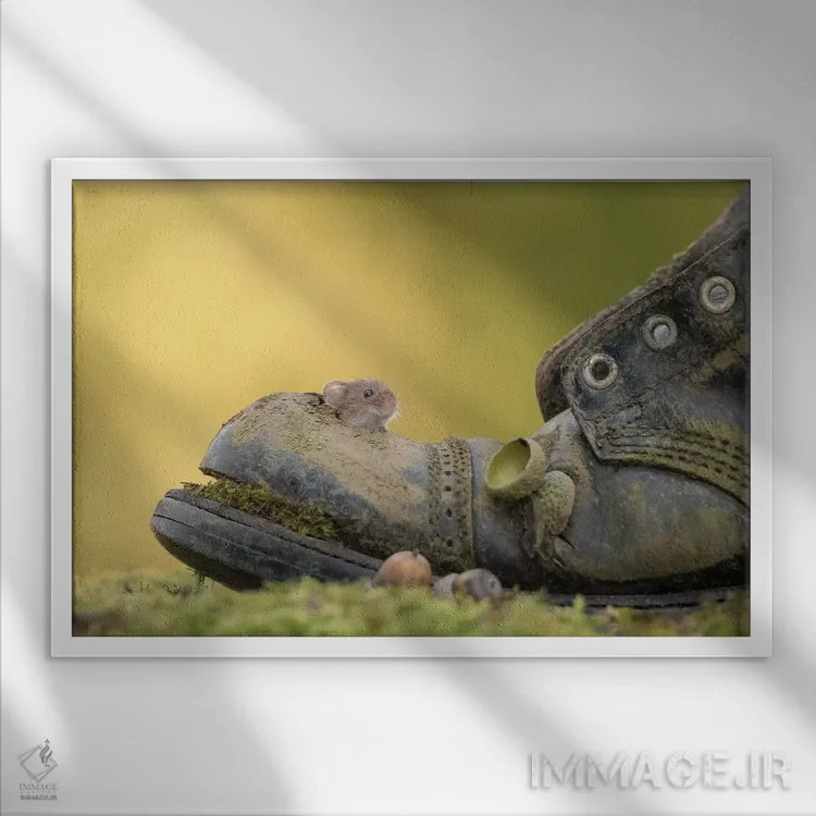 تابلو خم شدن و سرک کشیدن اثر باور میسون - نمای قابدار سفید