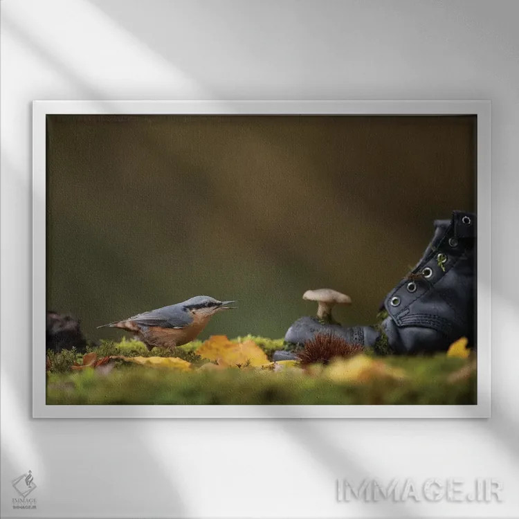 تابلو کمرکبود روی زمین جنگل اثر باور میسون - نمای قابدار سفید