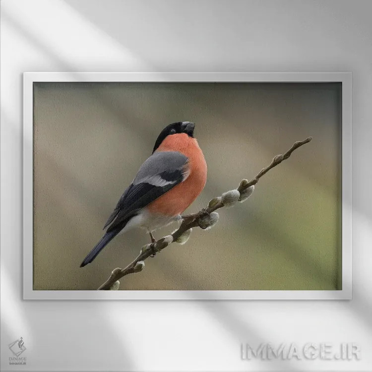 تابلو آدم بسیار شیکپوش اثر باور میسون - نمای قابدار سفید