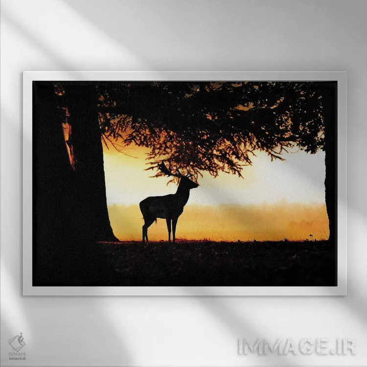 تابلو آفتاب تابان بر مزرعه اثر باور میسون - نمای قابدار سفید