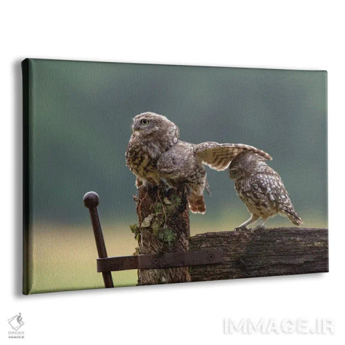 تابلو سه کلهپوک اثر باور میسون - نمای پرسپکتیو محصول