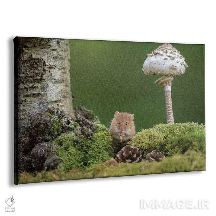 تابلو نوازندهٔ فلوت اثر باور میسون - نمای پرسپکتیو محصول