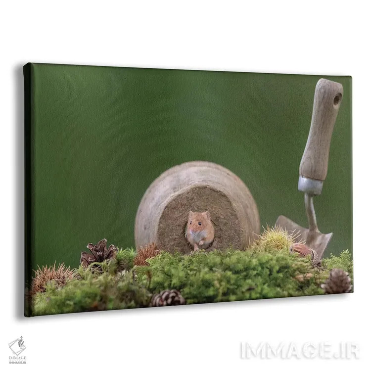 تابلو باغبان همیشهکار اثر باور میسون - نمای پرسپکتیو محصول