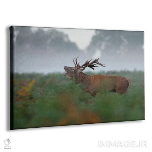 تابلو گوزن نر غرشکنان اثر باور میسون - نمای پرسپکتیو محصول