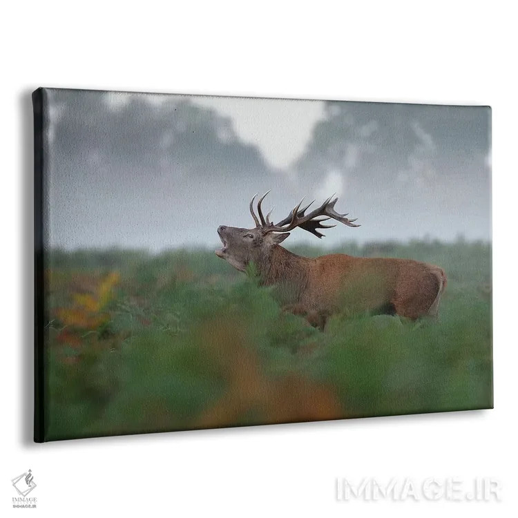 تابلو گوزن نر غرشکنان اثر باور میسون - نمای پرسپکتیو محصول