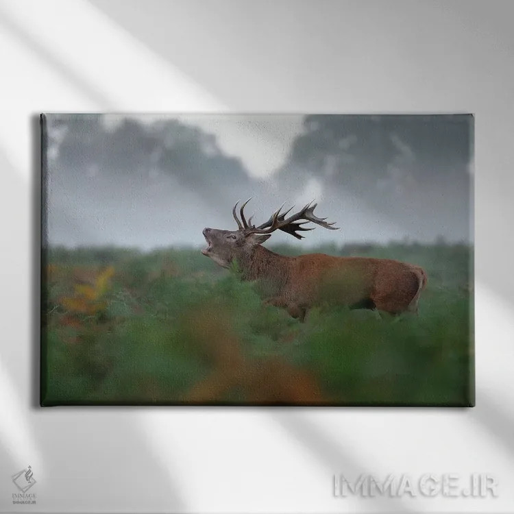 تابلو گوزن نر غرشکنان اثر باور میسون - نمای روبهرو روی دیوار