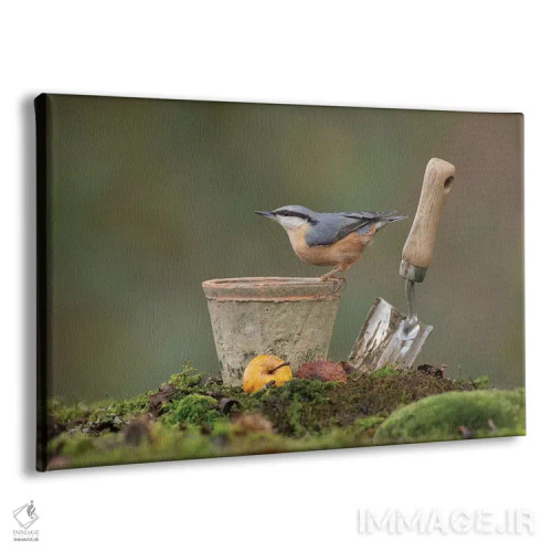 تابلو کمرکبود باغچه اثر باور میسون - نمای پرسپکتیو محصول