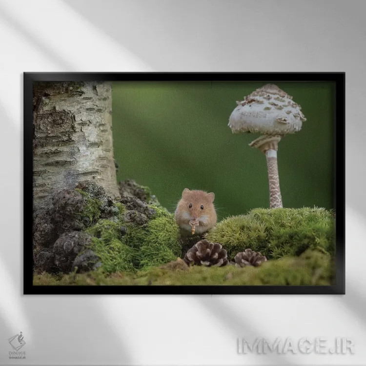 تابلو نوازندهٔ فلوت اثر باور میسون - نمای قابدار مشکی