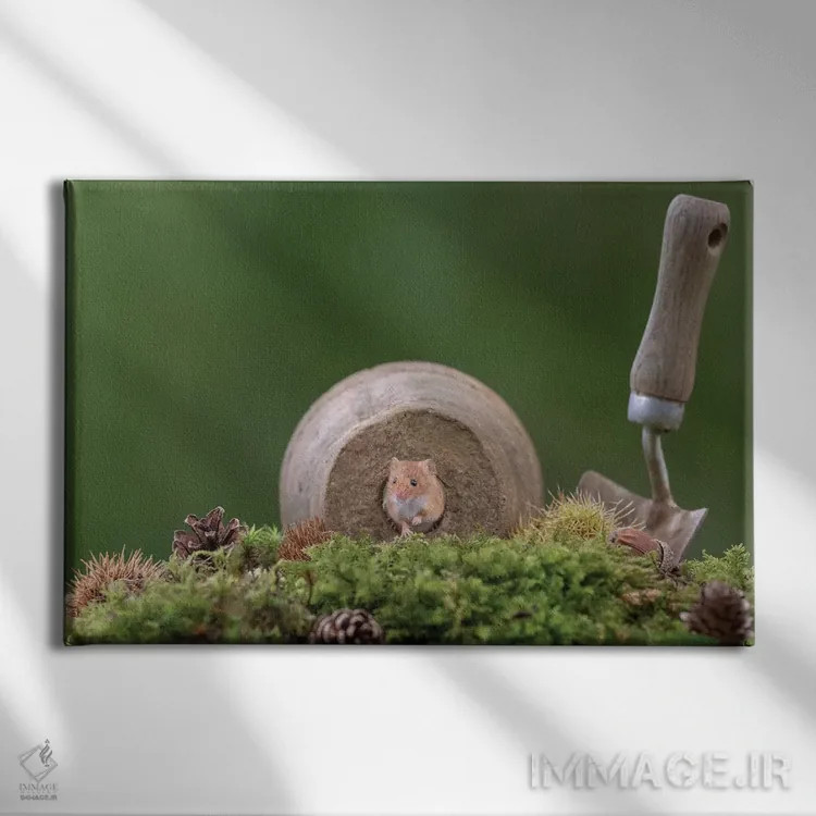 تابلو باغبان همیشهکار اثر باور میسون - نمای روبهرو روی دیوار