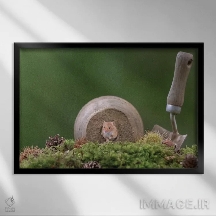 تابلو باغبان همیشهکار اثر باور میسون - نمای قابدار مشکی